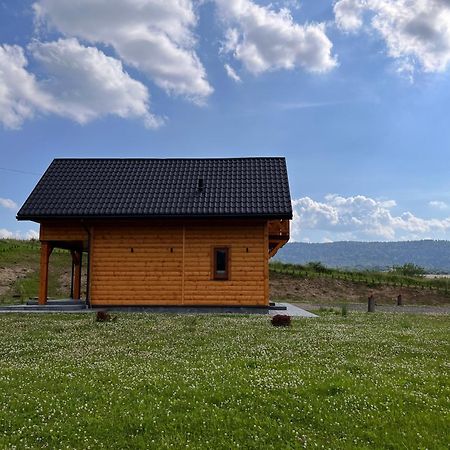 Gospodarstwo Agroturystyczne Bieszczadzki Blizniak Baligród Esterno foto